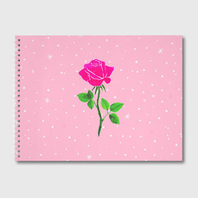 Альбом для рисования с принтом Роза на розовом в Тюмени, 100% бумага
 | матовая бумага, плотность 200 мг. | Тематика изображения на принте: женственно | красота | роза | розовый | снежинки | фуксия | цветок | шик