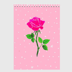 Скетчбук с принтом Роза на розовом в Тюмени, 100% бумага
 | 48 листов, плотность листов — 100 г/м2, плотность картонной обложки — 250 г/м2. Листы скреплены сверху удобной пружинной спиралью | Тематика изображения на принте: женственно | красота | роза | розовый | снежинки | фуксия | цветок | шик