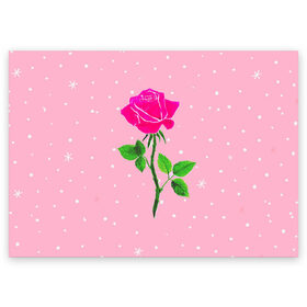 Поздравительная открытка с принтом Роза на розовом в Тюмени, 100% бумага | плотность бумаги 280 г/м2, матовая, на обратной стороне линовка и место для марки
 | женственно | красота | роза | розовый | снежинки | фуксия | цветок | шик