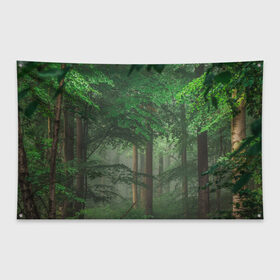 Флаг-баннер с принтом Тропический лес в Тюмени, 100% полиэстер | размер 67 х 109 см, плотность ткани — 95 г/м2; по краям флага есть четыре люверса для крепления | деревья | джунгли | зеленый лес | зелень | лес | тропики | тропический лес