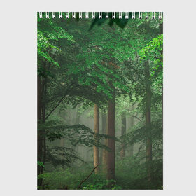Скетчбук с принтом Тропический лес в Тюмени, 100% бумага
 | 48 листов, плотность листов — 100 г/м2, плотность картонной обложки — 250 г/м2. Листы скреплены сверху удобной пружинной спиралью | деревья | джунгли | зеленый лес | зелень | лес | тропики | тропический лес