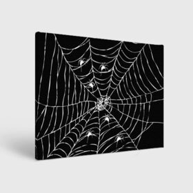 Холст прямоугольный с принтом Паутина с пауками в Тюмени, 100% ПВХ |  | black and white | darkness | halloween | horror | night | spider | web | готика | жуки | жуткий | мальчикам | насекомые | нечисть | нити | ночные | ночь | пауки | паутина | подарок | сетка | страшный | темный | тьма | хеллоуин | хоррор