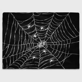 Плед 3D с принтом Паутина с пауками в Тюмени, 100% полиэстер | закругленные углы, все края обработаны. Ткань не мнется и не растягивается | Тематика изображения на принте: black and white | darkness | halloween | horror | night | spider | web | готика | жуки | жуткий | мальчикам | насекомые | нечисть | нити | ночные | ночь | пауки | паутина | подарок | сетка | страшный | темный | тьма | хеллоуин | хоррор