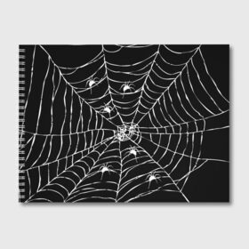 Альбом для рисования с принтом Паутина с пауками в Тюмени, 100% бумага
 | матовая бумага, плотность 200 мг. | black and white | darkness | halloween | horror | night | spider | web | готика | жуки | жуткий | мальчикам | насекомые | нечисть | нити | ночные | ночь | пауки | паутина | подарок | сетка | страшный | темный | тьма | хеллоуин | хоррор