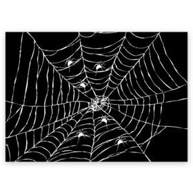 Поздравительная открытка с принтом Паутина с пауками в Тюмени, 100% бумага | плотность бумаги 280 г/м2, матовая, на обратной стороне линовка и место для марки
 | black and white | darkness | halloween | horror | night | spider | web | готика | жуки | жуткий | мальчикам | насекомые | нечисть | нити | ночные | ночь | пауки | паутина | подарок | сетка | страшный | темный | тьма | хеллоуин | хоррор