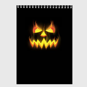 Скетчбук с принтом Halloween в Тюмени, 100% бумага
 | 48 листов, плотность листов — 100 г/м2, плотность картонной обложки — 250 г/м2. Листы скреплены сверху удобной пружинной спиралью | halloween | jack | lantern | pumpkin | светильник джека | хэллоуин