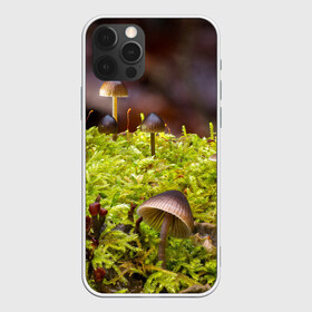 Чехол для iPhone 12 Pro Max с принтом Мох в Тюмени, Силикон |  | гриб | грибы | дерево | деревья | зелёные | зелёный | зелень | лес | леса | лесной | мох | мхи | пенёк | пеньки | пни | поганка | поганки | природа | природный | флора