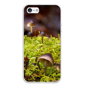 Чехол для iPhone 5/5S матовый с принтом Мох в Тюмени, Силикон | Область печати: задняя сторона чехла, без боковых панелей | гриб | грибы | дерево | деревья | зелёные | зелёный | зелень | лес | леса | лесной | мох | мхи | пенёк | пеньки | пни | поганка | поганки | природа | природный | флора