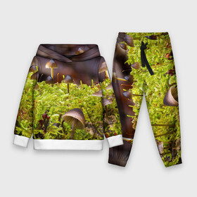 Детский костюм 3D (с толстовкой) с принтом Мох в Тюмени,  |  | гриб | грибы | дерево | деревья | зелёные | зелёный | зелень | лес | леса | лесной | мох | мхи | пенёк | пеньки | пни | поганка | поганки | природа | природный | флора