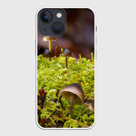 Чехол для iPhone 13 mini с принтом Мох в Тюмени,  |  | гриб | грибы | дерево | деревья | зелёные | зелёный | зелень | лес | леса | лесной | мох | мхи | пенёк | пеньки | пни | поганка | поганки | природа | природный | флора