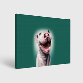 Холст прямоугольный с принтом Bully в Тюмени, 100% ПВХ |  | Тематика изображения на принте: bull terrier | ears | eyes | fangs | jaw | muzzle | nose | smile | бультерьер | глаза | клыки | нос | пасть | улыбка | уши