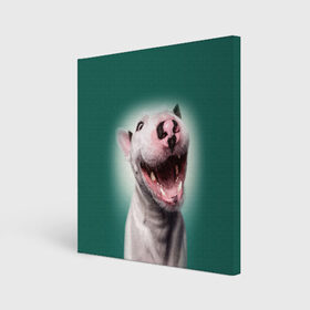 Холст квадратный с принтом Bully в Тюмени, 100% ПВХ |  | Тематика изображения на принте: bull terrier | ears | eyes | fangs | jaw | muzzle | nose | smile | бультерьер | глаза | клыки | нос | пасть | улыбка | уши