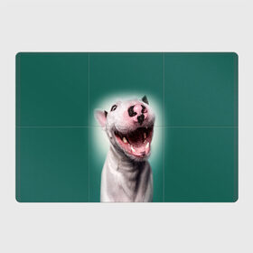 Магнитный плакат 3Х2 с принтом Bully в Тюмени, Полимерный материал с магнитным слоем | 6 деталей размером 9*9 см | bull terrier | ears | eyes | fangs | jaw | muzzle | nose | smile | бультерьер | глаза | клыки | нос | пасть | улыбка | уши