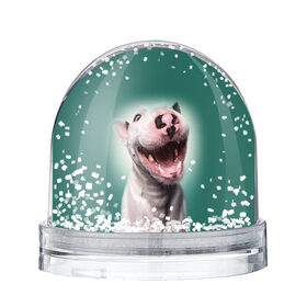 Снежный шар с принтом Bully в Тюмени, Пластик | Изображение внутри шара печатается на глянцевой фотобумаге с двух сторон | bull terrier | ears | eyes | fangs | jaw | muzzle | nose | smile | бультерьер | глаза | клыки | нос | пасть | улыбка | уши