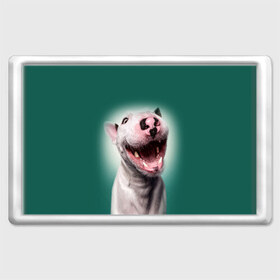 Магнит 45*70 с принтом Bully в Тюмени, Пластик | Размер: 78*52 мм; Размер печати: 70*45 | bull terrier | ears | eyes | fangs | jaw | muzzle | nose | smile | бультерьер | глаза | клыки | нос | пасть | улыбка | уши