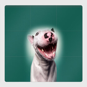 Магнитный плакат 3Х3 с принтом Bully в Тюмени, Полимерный материал с магнитным слоем | 9 деталей размером 9*9 см | bull terrier | ears | eyes | fangs | jaw | muzzle | nose | smile | бультерьер | глаза | клыки | нос | пасть | улыбка | уши