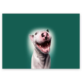 Поздравительная открытка с принтом Bully в Тюмени, 100% бумага | плотность бумаги 280 г/м2, матовая, на обратной стороне линовка и место для марки
 | bull terrier | ears | eyes | fangs | jaw | muzzle | nose | smile | бультерьер | глаза | клыки | нос | пасть | улыбка | уши