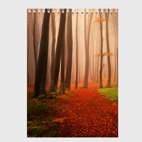 Скетчбук с принтом Осенний лес в Тюмени, 100% бумага
 | 48 листов, плотность листов — 100 г/м2, плотность картонной обложки — 250 г/м2. Листы скреплены сверху удобной пружинной спиралью | деревья | лес | листва | осенний лес | осень | природа