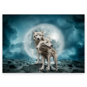 Поздравительная открытка с принтом Волки альбиносы в Тюмени, 100% бумага | плотность бумаги 280 г/м2, матовая, на обратной стороне линовка и место для марки
 | альбинос | волк | волки | волчата | волчонок | зверь