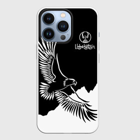 Чехол для iPhone 13 Pro с принтом Узбекистан в Тюмени,  |  | eagle | mountains | republic | silhouette | stencil | uzbekistan | горы | орел | республика | силуэт | трафарет | узбекистан