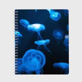 Тетрадь с принтом Медуза в Тюмени, 100% бумага | 48 листов, плотность листов — 60 г/м2, плотность картонной обложки — 250 г/м2. Листы скреплены сбоку удобной пружинной спиралью. Уголки страниц и обложки скругленные. Цвет линий — светло-серый
 | medusozoa | медуза | медузы | морское животное | ядовитая медуза