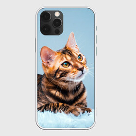 Чехол для iPhone 12 Pro Max с принтом Бенгальский кот в Тюмени, Силикон |  | cat | животные | звири | кис | киска | кот | котейка | котик | коты | котяра | кошка | кошки | природа
