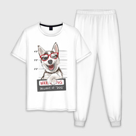 Мужская пижама хлопок с принтом МИЛЫЙ ХАСКИ в Тюмени, 100% хлопок | брюки и футболка прямого кроя, без карманов, на брюках мягкая резинка на поясе и по низу штанин
 | dog | husky | добрый | милый | пес | песик | собака | собчака | хакси
