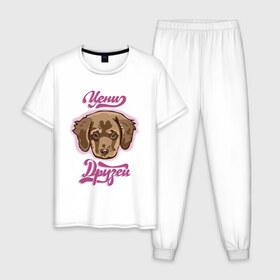 Мужская пижама хлопок с принтом Цени друзей в Тюмени, 100% хлопок | брюки и футболка прямого кроя, без карманов, на брюках мягкая резинка на поясе и по низу штанин
 | Тематика изображения на принте: для девочек | дружба | надпись | собака | щенок