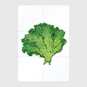 Магнитный плакат 2Х3 с принтом Кудрявая капуста в Тюмени, Полимерный материал с магнитным слоем | 6 деталей размером 9*9 см | арт | капуста | кудри | кудрявая | кудрявая капуста | кудряшки | мило | милота | овощ | рисунок | свежий овощ | свежий продукт