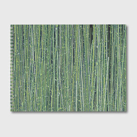 Альбом для рисования с принтом Зеленый бамбук в Тюмени, 100% бумага
 | матовая бумага, плотность 200 мг. | bamboo | forest | stripes | бамбук | заросли | лес | листья | полосы | растения