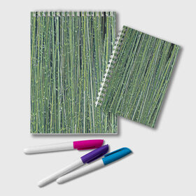 Блокнот с принтом Зеленый бамбук в Тюмени, 100% бумага | 48 листов, плотность листов — 60 г/м2, плотность картонной обложки — 250 г/м2. Листы скреплены удобной пружинной спиралью. Цвет линий — светло-серый
 | bamboo | forest | stripes | бамбук | заросли | лес | листья | полосы | растения