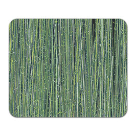 Коврик для мышки прямоугольный с принтом Зеленый бамбук в Тюмени, натуральный каучук | размер 230 х 185 мм; запечатка лицевой стороны | bamboo | forest | stripes | бамбук | заросли | лес | листья | полосы | растения