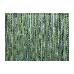 Обложка для студенческого билета с принтом Зеленый бамбук в Тюмени, натуральная кожа | Размер: 11*8 см; Печать на всей внешней стороне | bamboo | forest | stripes | бамбук | заросли | лес | листья | полосы | растения