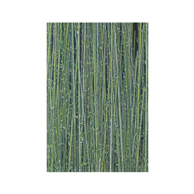 Обложка для паспорта матовая кожа с принтом Зеленый бамбук в Тюмени, натуральная матовая кожа | размер 19,3 х 13,7 см; прозрачные пластиковые крепления | bamboo | forest | stripes | бамбук | заросли | лес | листья | полосы | растения