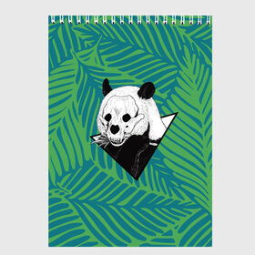 Скетчбук с принтом Панда нежить в Тюмени, 100% бумага
 | 48 листов, плотность листов — 100 г/м2, плотность картонной обложки — 250 г/м2. Листы скреплены сверху удобной пружинной спиралью | бамбук | зверь | листья | медведь | треугольник | череп