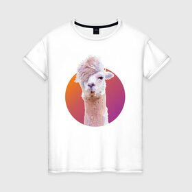 Женская футболка хлопок с принтом Лама_2 в Тюмени, 100% хлопок | прямой крой, круглый вырез горловины, длина до линии бедер, слегка спущенное плечо | alpaca | lama | альпака | арт | животные | картинка | лама | милое животное | рисунок