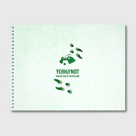 Альбом для рисования с принтом Енот в Тюмени, 100% бумага
 | матовая бумага, плотность 200 мг. | воришка | воруй полоскай | енот | енотик | лапки | полоскун | хитрый | хитрюга