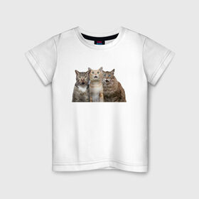 Детская футболка хлопок с принтом удивленные коты в Тюмени, 100% хлопок | круглый вырез горловины, полуприлегающий силуэт, длина до линии бедер | котики | надписи | прикол | удивление | черный кот