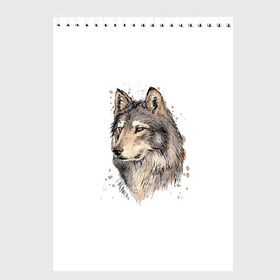 Скетчбук с принтом Волк в Тюмени, 100% бумага
 | 48 листов, плотность листов — 100 г/м2, плотность картонной обложки — 250 г/м2. Листы скреплены сверху удобной пружинной спиралью | Тематика изображения на принте: волк | голова волка | животные | звери | хищник