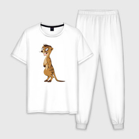 Мужская пижама хлопок с принтом Сурикат в Тюмени, 100% хлопок | брюки и футболка прямого кроя, без карманов, на брюках мягкая резинка на поясе и по низу штанин
 | животное | зверь | милый | смешной | сурикат | улыбается