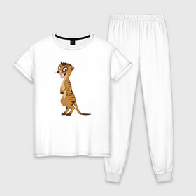 Женская пижама хлопок с принтом Сурикат в Тюмени, 100% хлопок | брюки и футболка прямого кроя, без карманов, на брюках мягкая резинка на поясе и по низу штанин | животное | зверь | милый | смешной | сурикат | улыбается