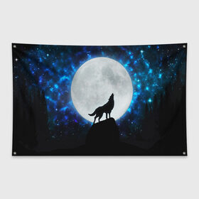 Флаг-баннер с принтом Волк воющий на луну в Тюмени, 100% полиэстер | размер 67 х 109 см, плотность ткани — 95 г/м2; по краям флага есть четыре люверса для крепления | wolf | волк | волки | волчица | животные | одинокий волк