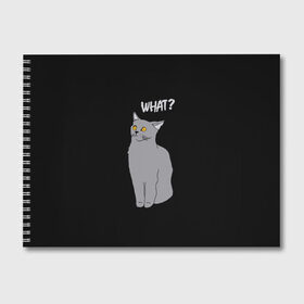 Альбом для рисования с принтом What cat в Тюмени, 100% бумага
 | матовая бумага, плотность 200 мг. | cat | kitten | kitty | what кот | британская кошка | британский кот | в смысле | взгляд | вопрос | вопросительный знак | глаза кота | животные | кот мем | котенок | котик | котята | кошак | кошка | мемы
