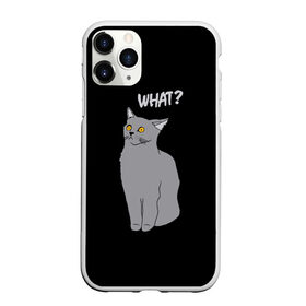 Чехол для iPhone 11 Pro матовый с принтом What cat в Тюмени, Силикон |  | Тематика изображения на принте: cat | kitten | kitty | what кот | британская кошка | британский кот | в смысле | взгляд | вопрос | вопросительный знак | глаза кота | животные | кот мем | котенок | котик | котята | кошак | кошка | мемы