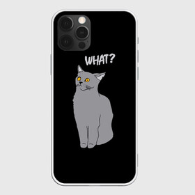 Чехол для iPhone 12 Pro с принтом What cat в Тюмени, силикон | область печати: задняя сторона чехла, без боковых панелей | cat | kitten | kitty | what кот | британская кошка | британский кот | в смысле | взгляд | вопрос | вопросительный знак | глаза кота | животные | кот мем | котенок | котик | котята | кошак | кошка | мемы