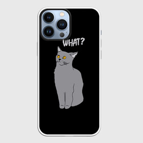 Чехол для iPhone 13 Pro Max с принтом What cat в Тюмени,  |  | Тематика изображения на принте: cat | kitten | kitty | what кот | британская кошка | британский кот | в смысле | взгляд | вопрос | вопросительный знак | глаза кота | животные | кот мем | котенок | котик | котята | кошак | кошка | мемы