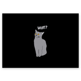 Поздравительная открытка с принтом What cat в Тюмени, 100% бумага | плотность бумаги 280 г/м2, матовая, на обратной стороне линовка и место для марки
 | Тематика изображения на принте: cat | kitten | kitty | what кот | британская кошка | британский кот | в смысле | взгляд | вопрос | вопросительный знак | глаза кота | животные | кот мем | котенок | котик | котята | кошак | кошка | мемы