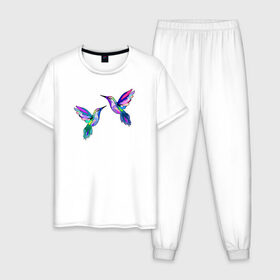 Мужская пижама хлопок с принтом Колибри в Тюмени, 100% хлопок | брюки и футболка прямого кроя, без карманов, на брюках мягкая резинка на поясе и по низу штанин
 | Тематика изображения на принте: angel | bird | butterfly | parrot | summer | tropical | wings | ангел | бабочки | джунгли | животные | красочные | крылья | летний | лето | перья | попугай | природа | птица | птичка | радужные | райский | стриж | тропики