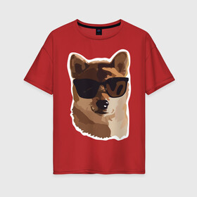 Женская футболка хлопок Oversize с принтом Собакен в Тюмени, 100% хлопок | свободный крой, круглый ворот, спущенный рукав, длина до линии бедер
 | dog | dogs | домашний питомец | лучший друг человека | лучшийдру | очки | собака | собаки | собачка
