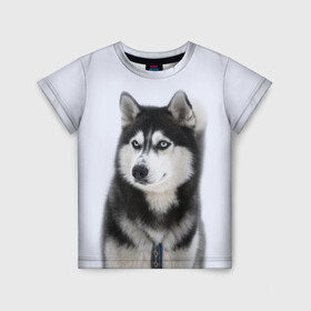 Детская футболка 3D с принтом ХАСКИ в Тюмени, 100% гипоаллергенный полиэфир | прямой крой, круглый вырез горловины, длина до линии бедер, чуть спущенное плечо, ткань немного тянется | dog | husky | милый | пес | песик | собака | собачка | хаски | щенок
